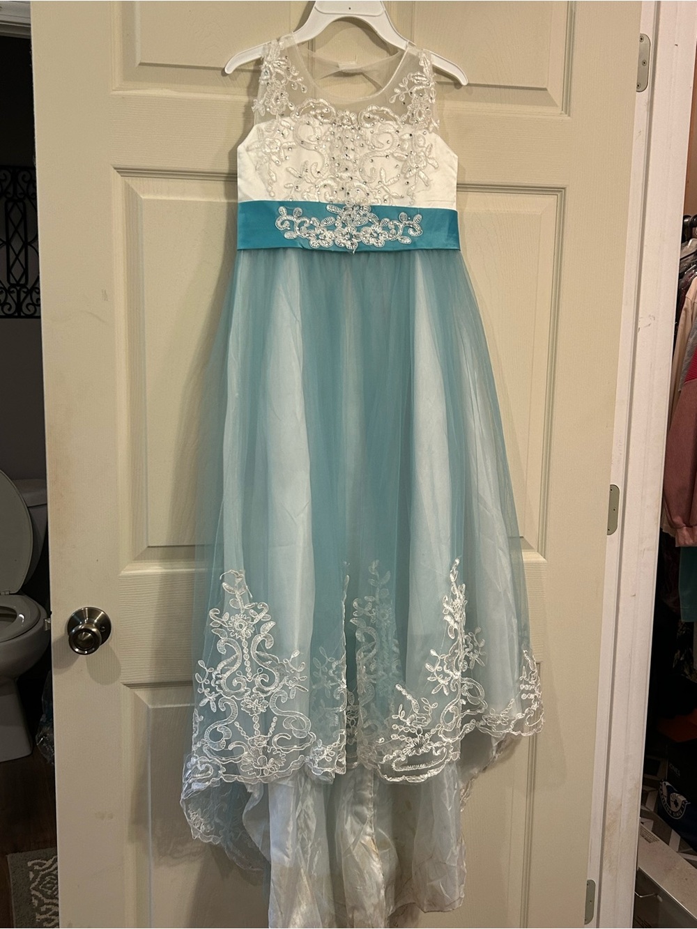 Girls' White and Teal Embroidered Tulle Dress